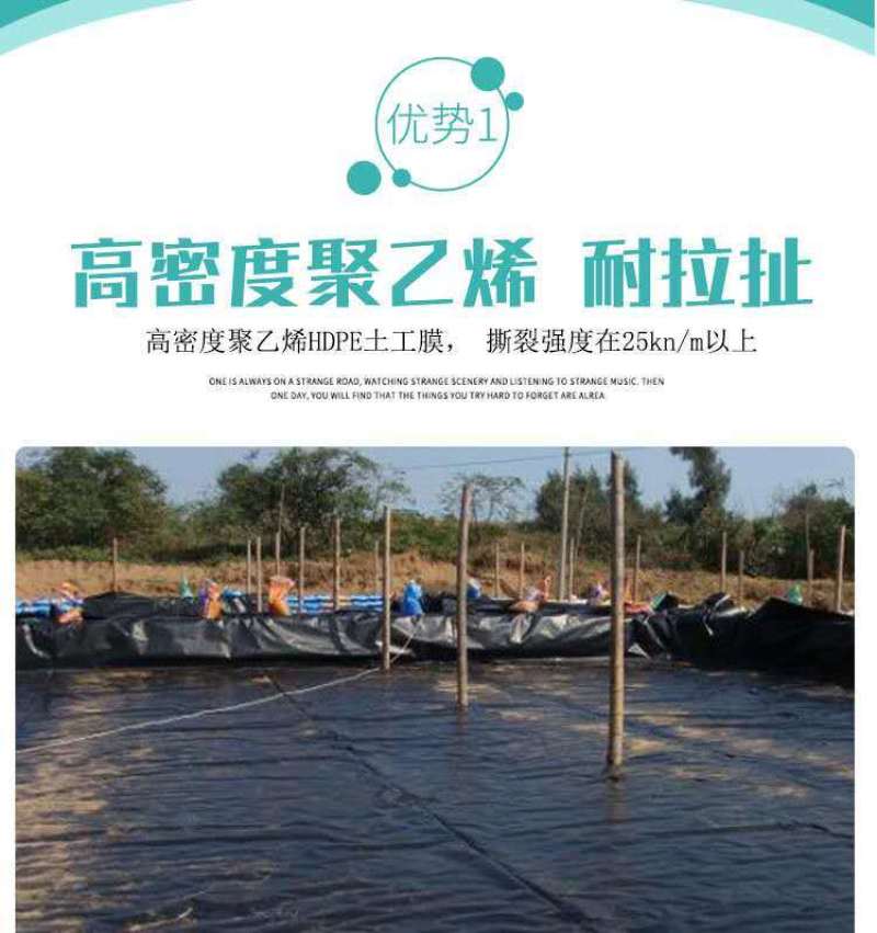 鱼塘防渗膜土工膜防水膜池塘防水布鱼池专用塑料薄膜复合膜