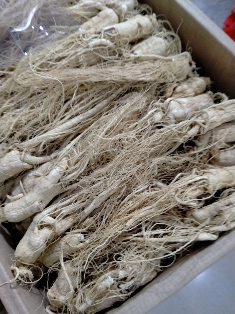 人参规格齐全产规格齐全地直销一手货源价格优！