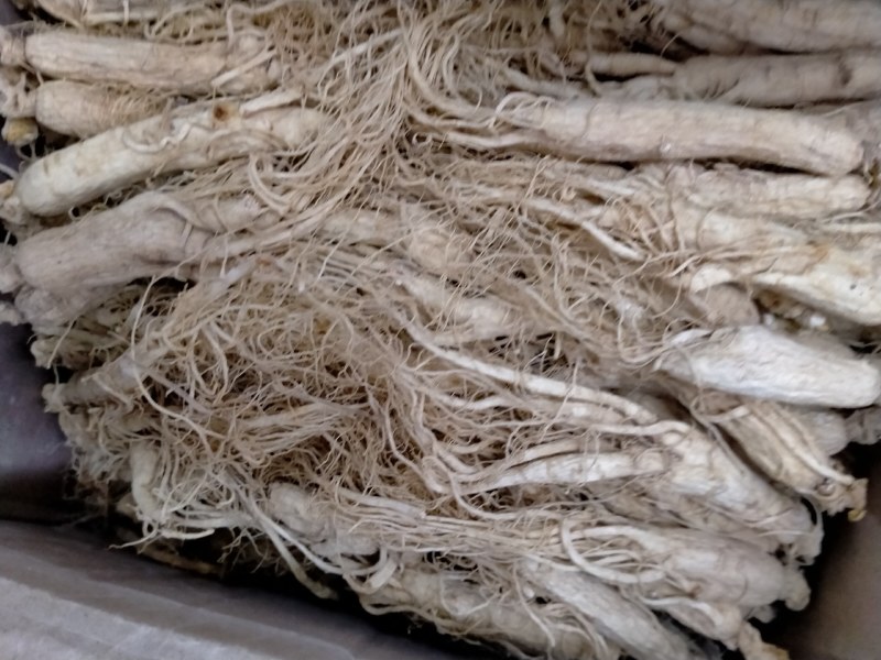 人参规格齐全产规格齐全地直销一手货源价格优！