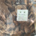 黑老虎一公斤起批无硫磺熏蒸
