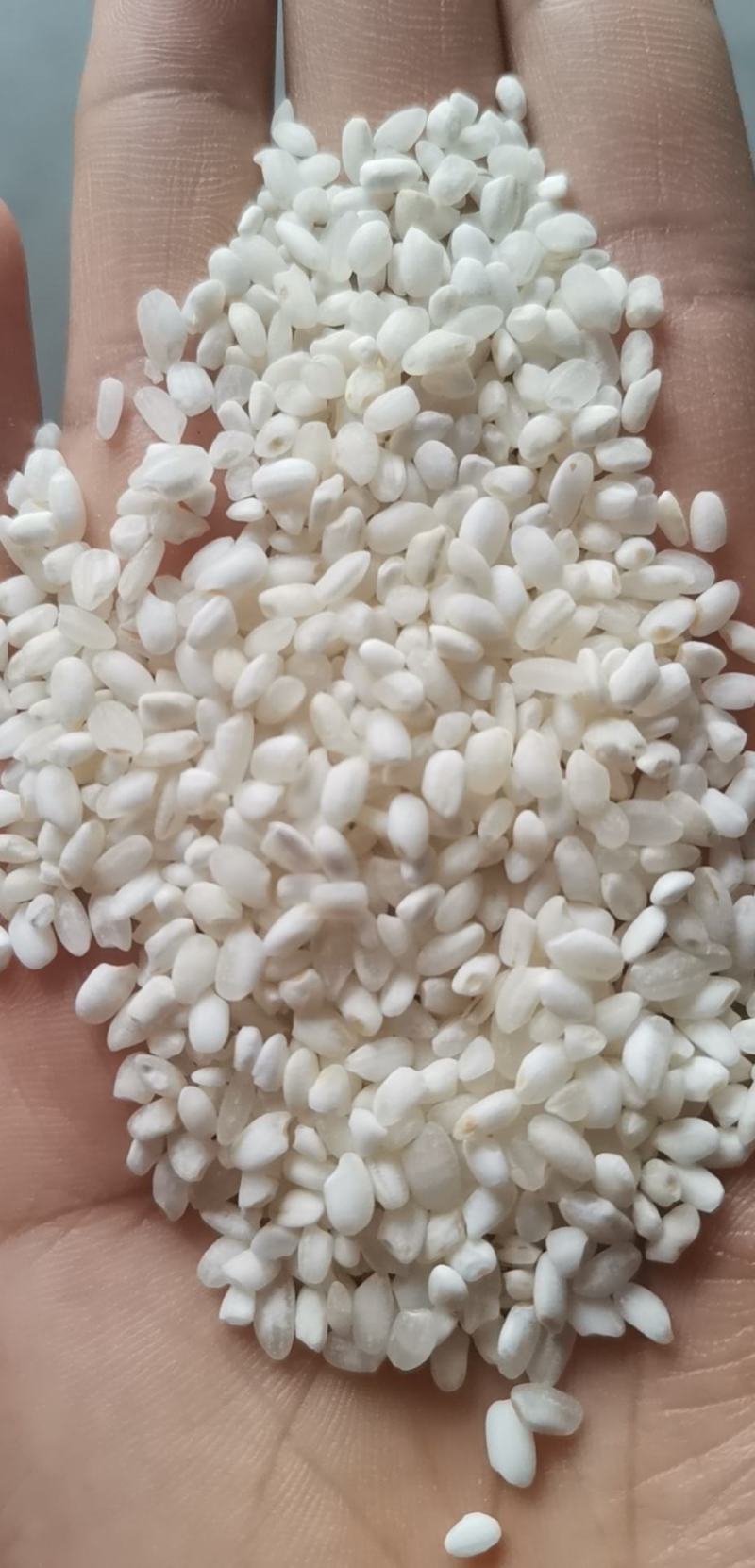 粳米，色选白米，有货