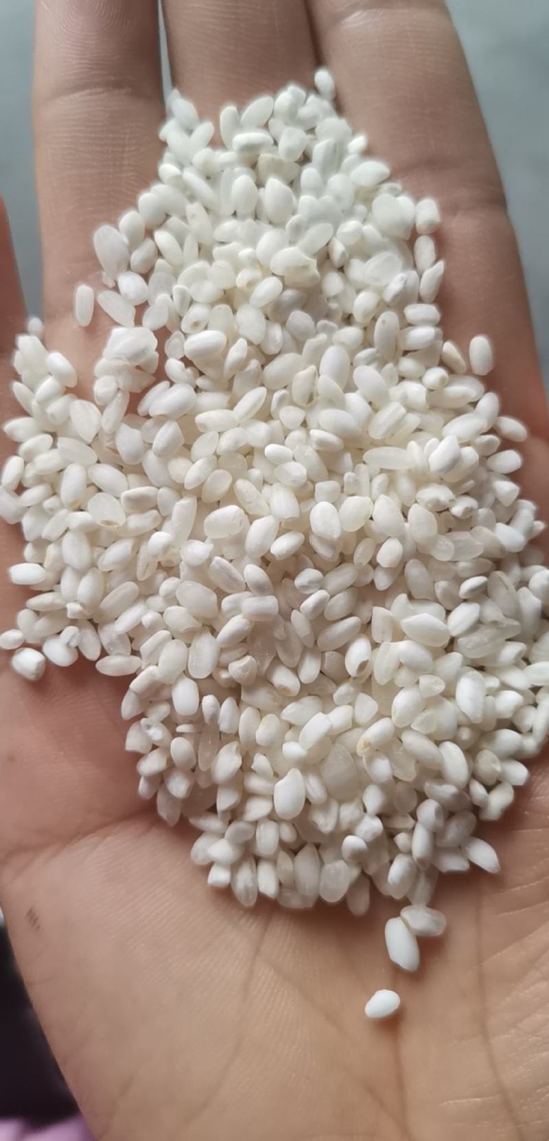 粳米，色选白米，有货