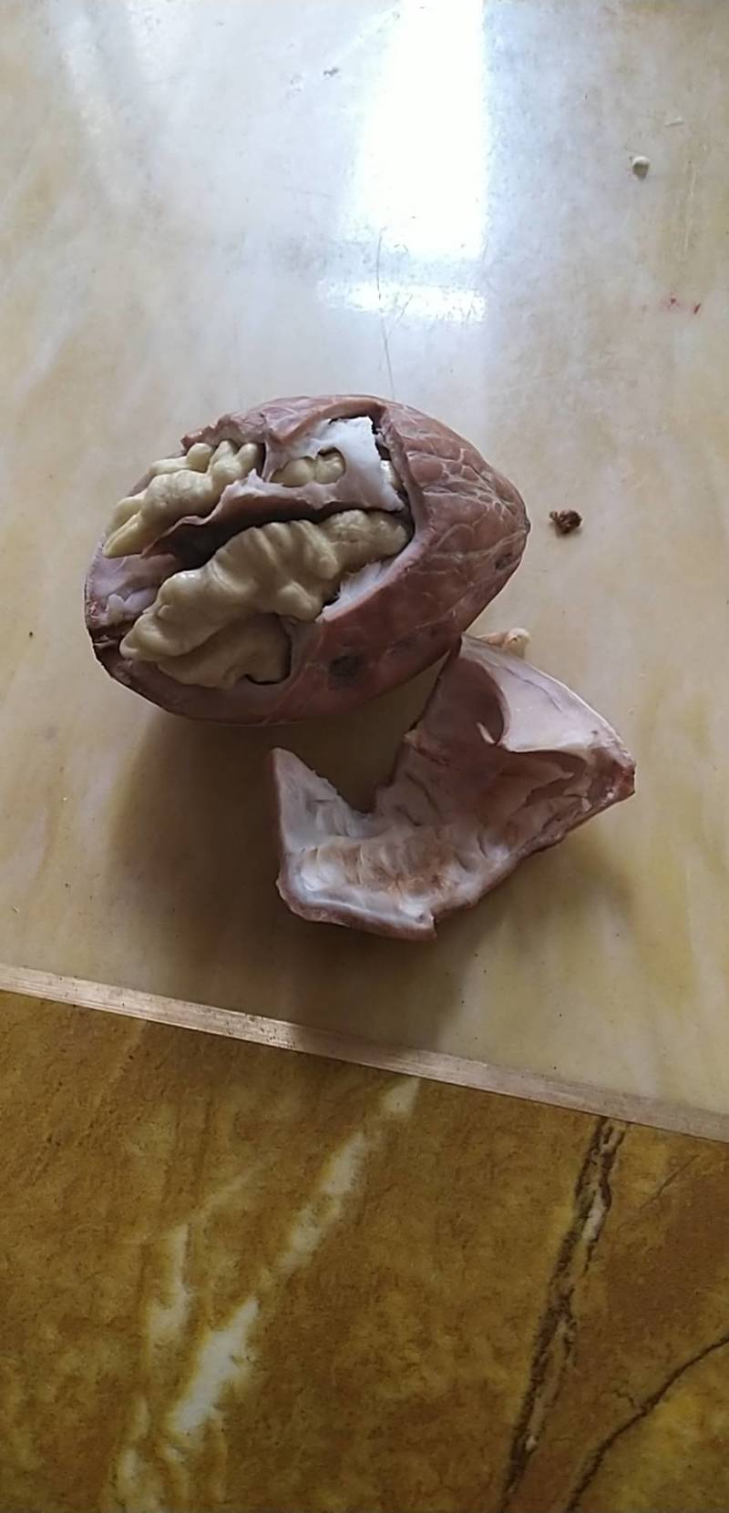 [热销]河南青皮核桃万亩产地直销，货源充足，能长期供货！