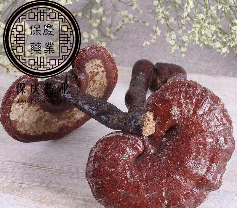 灵芝个整颗灵芝实物拍灵芝个子保庆药业另有灵芝片