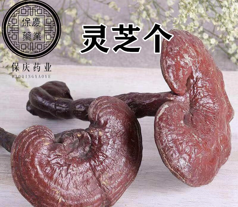 灵芝个整颗灵芝实物拍灵芝个子保庆药业另有灵芝片