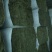 甘肃酒泉优质苜蓿草批发