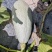 【全年不断货供】清蒸金瓜，瓜型橄榄型，口感粉糯香甜