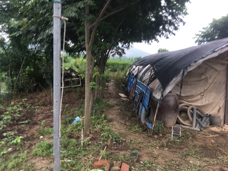 农场鱼塘养殖场地招租
