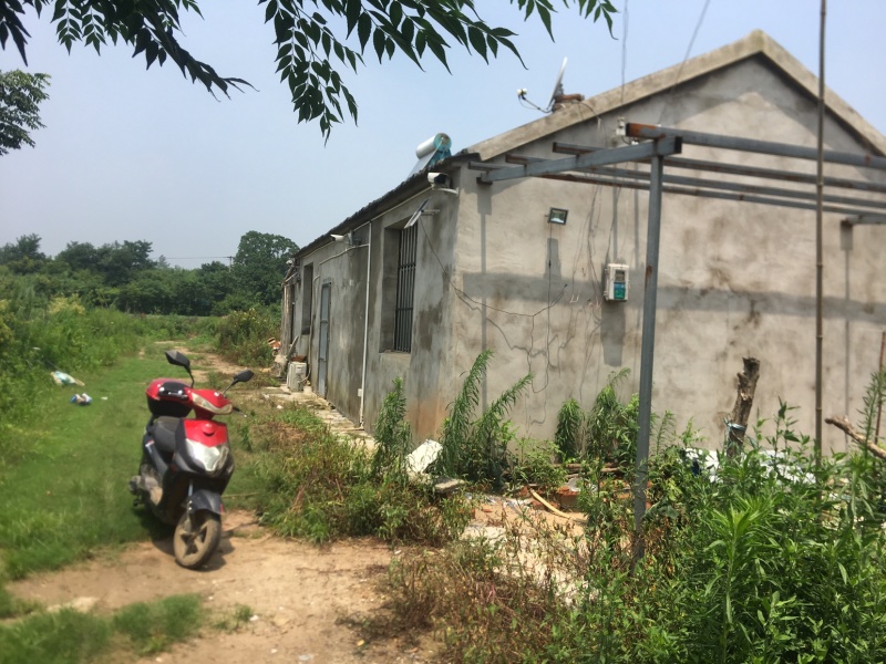 农场鱼塘养殖场地招租
