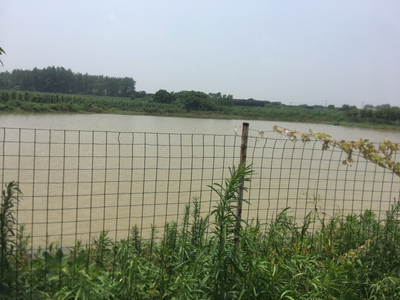 农场鱼塘养殖场地招租