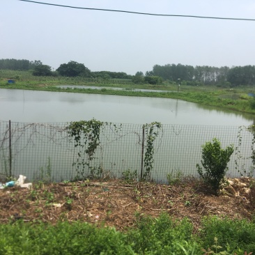 农场鱼塘养殖场地招租
