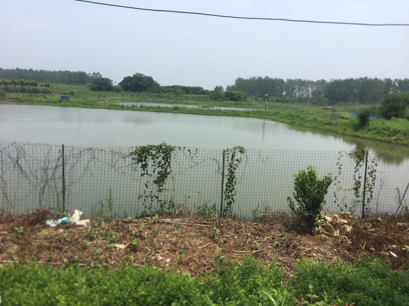 鱼塘出租