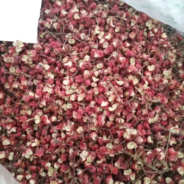 甘肃银川花椒之乡，香浓美味好口感的花椒包邮到家
