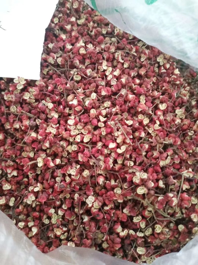 甘肃银川花椒之乡，香浓美味好口感的花椒包邮到家