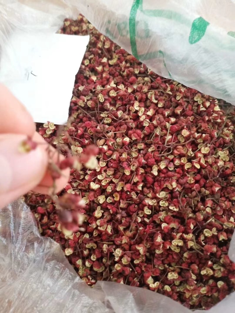 甘肃银川花椒之乡，香浓美味好口感的花椒包邮到家