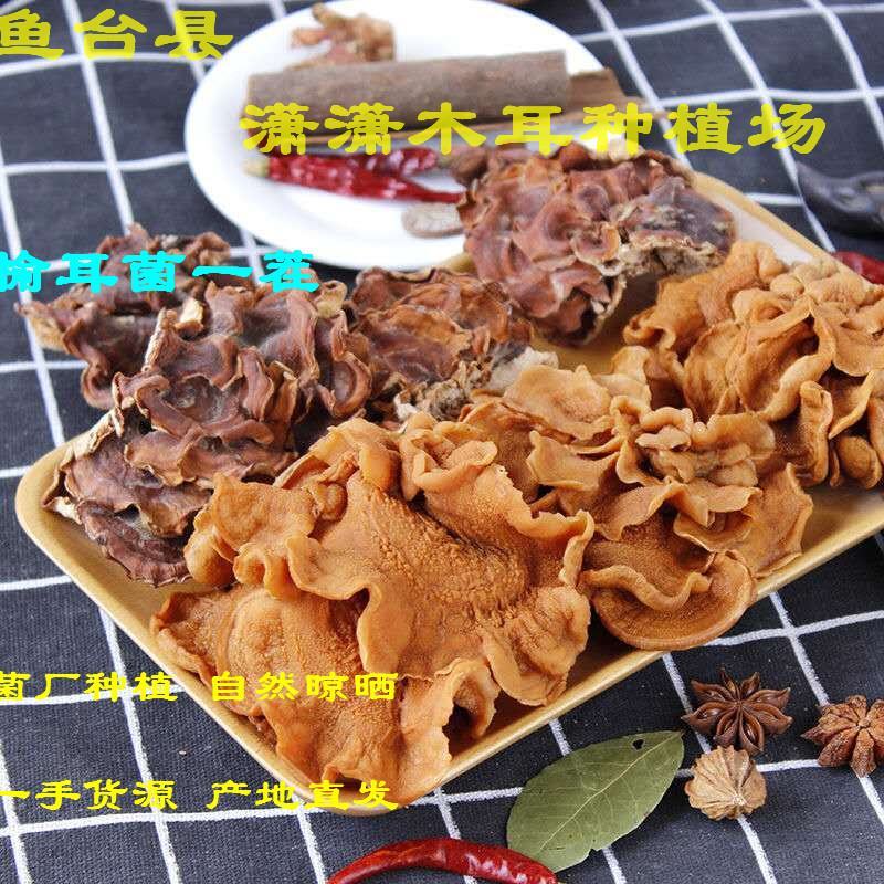 榆耳菌干货特级素食榆耳菇灵芝菇黄金侧耳玛卡菌佛系素食
