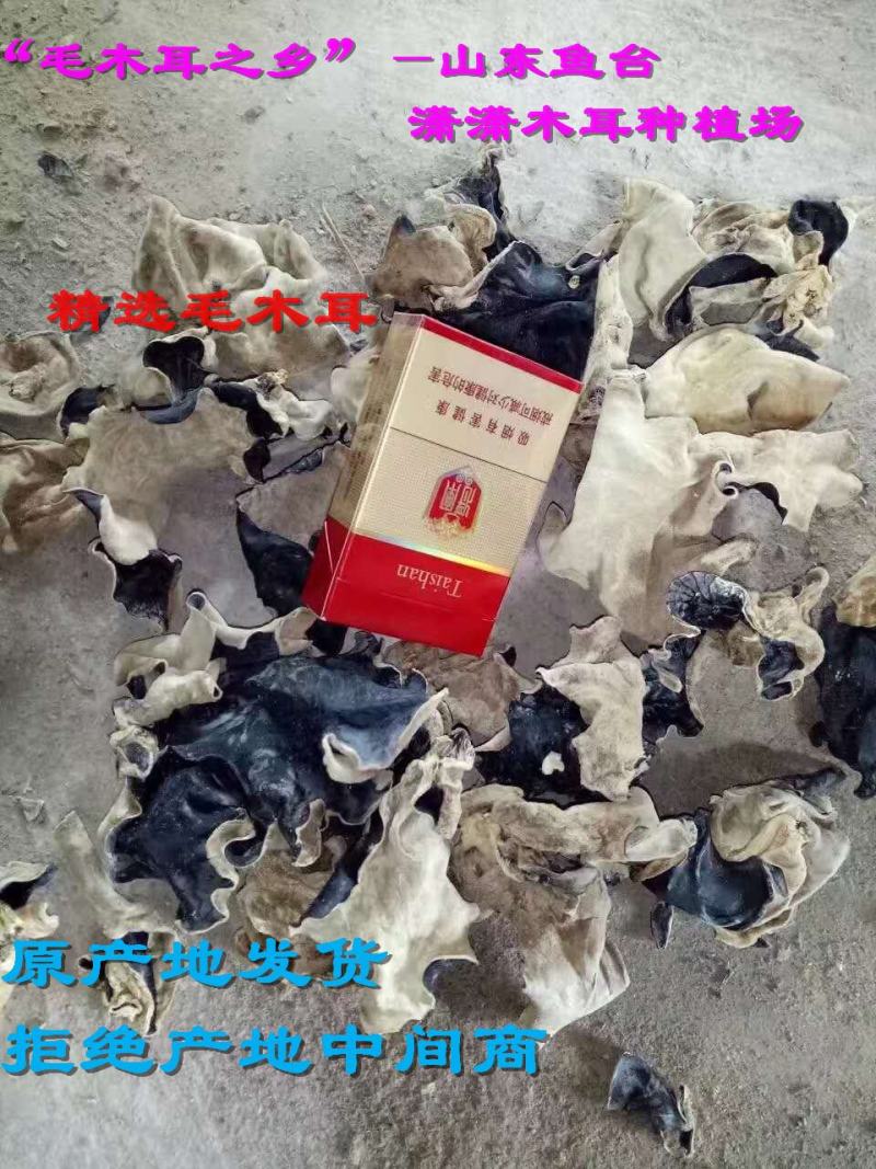 毛木耳干货山东鱼台木耳没有中间商物美价廉餐饮店供应
