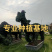 漳州中国红四季红云南紫多色三角梅桩头桩景盆景造型球柱形