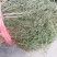 百蕊草，，麦黄草，沮草，，，野生干货，保证质量，长期有货