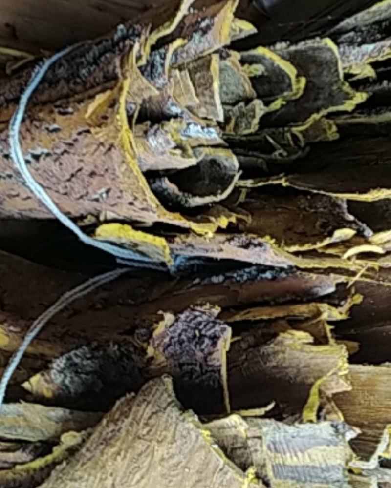 贵州铜仁树皮类中药材黄柏皮干货多种规格产地直供一手货源