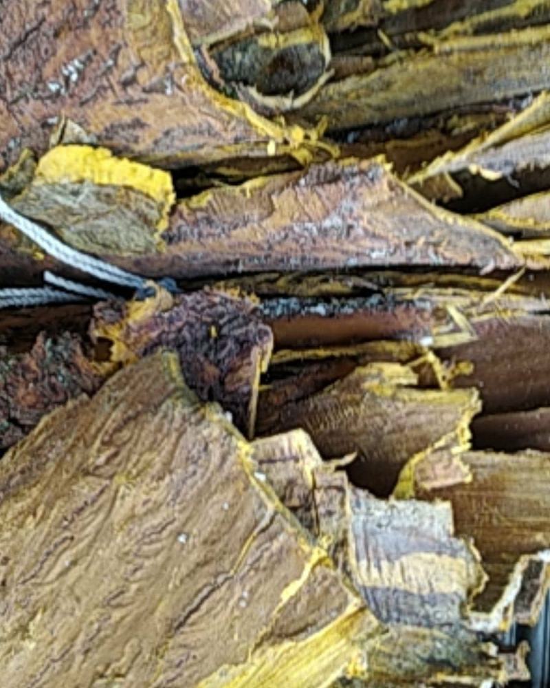 贵州铜仁树皮类中药材黄柏皮干货多种规格产地直供一手货源