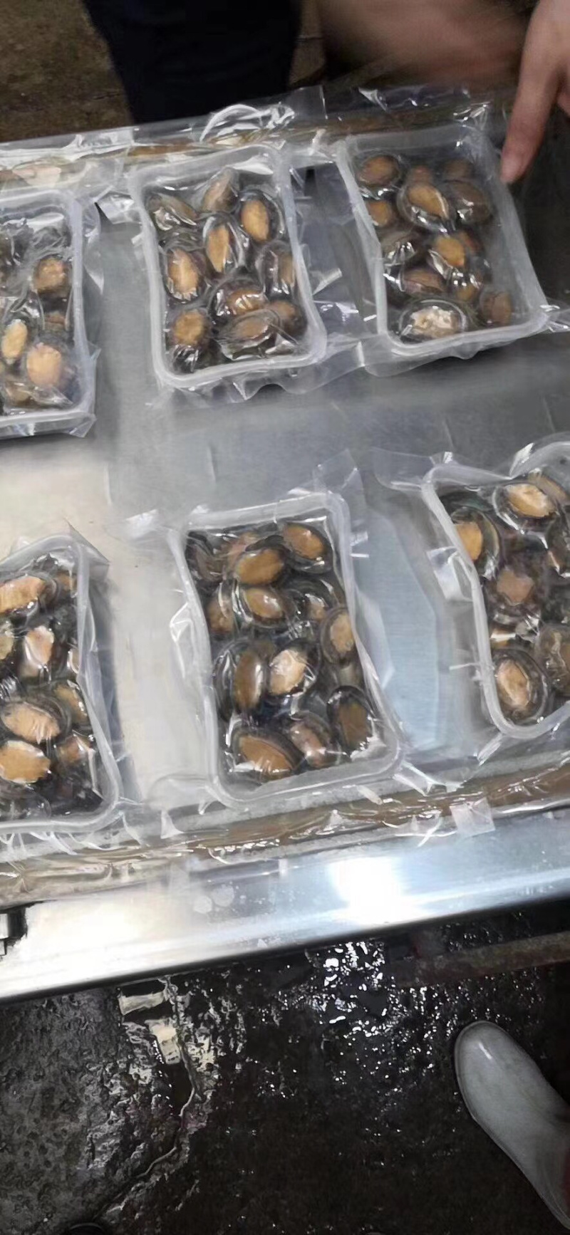 250克盒装活冻小鲍鱼，一盒18-20个