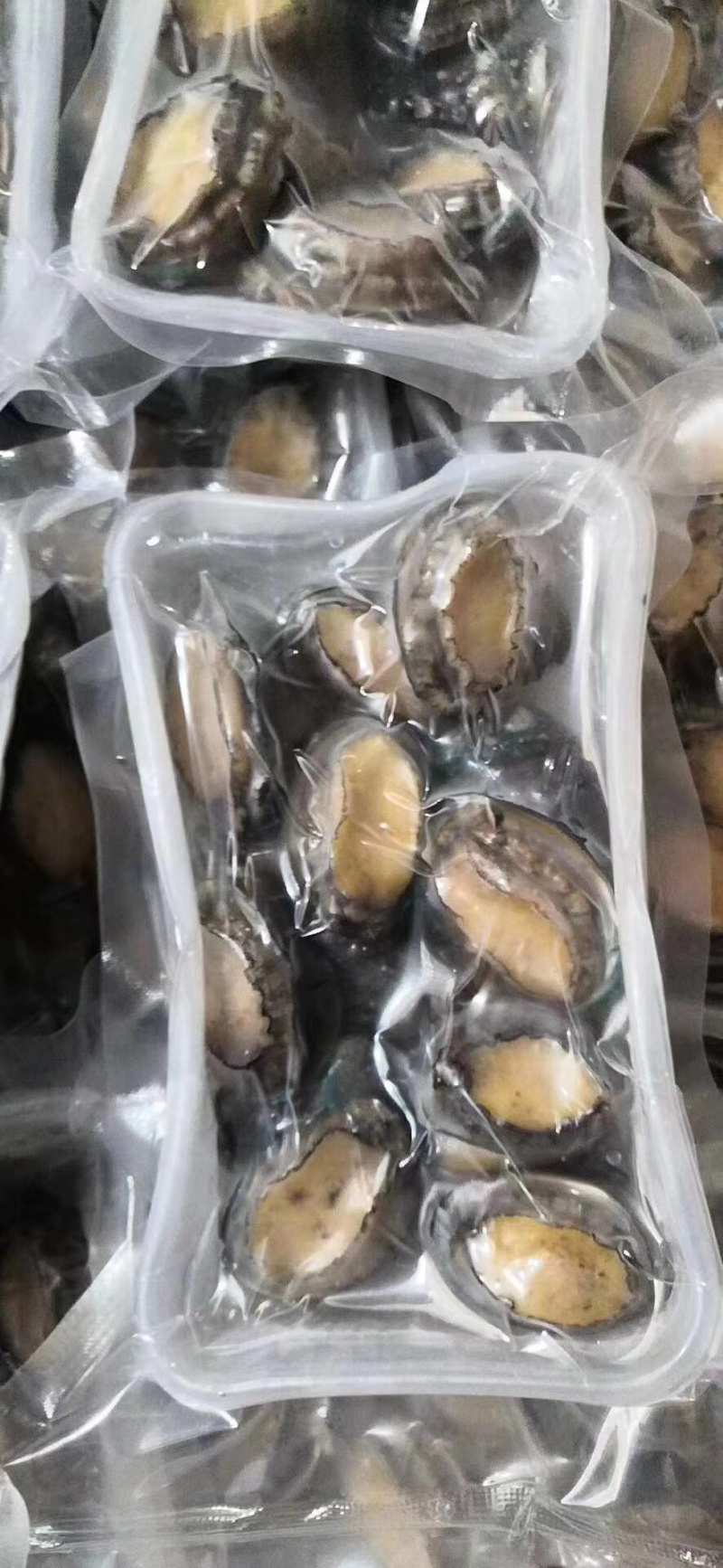 250克盒装活冻小鲍鱼，一盒18-20个