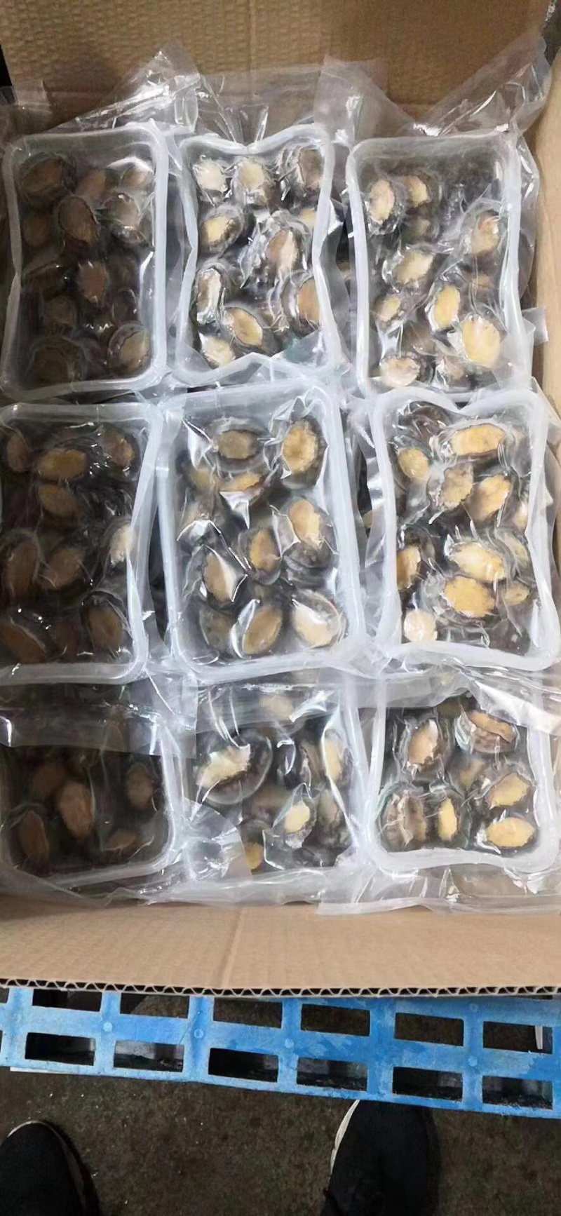 250克盒装活冻小鲍鱼，一盒18-20个