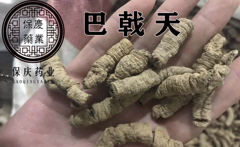 巴戟天保庆药业巴戟巴戟天巴戟肉货不对板包退