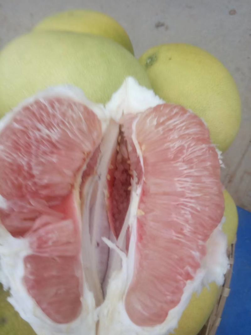 生态红柚，绿色健康食品