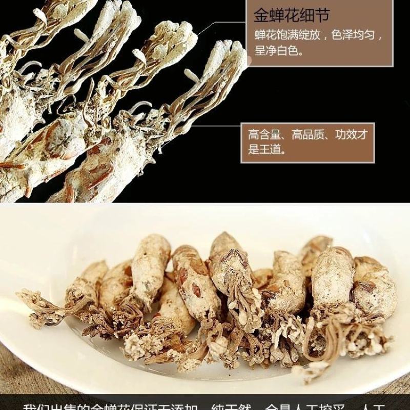 金蝉花知了开花野生蝉蜕花泡酒泡茶煲汤正品