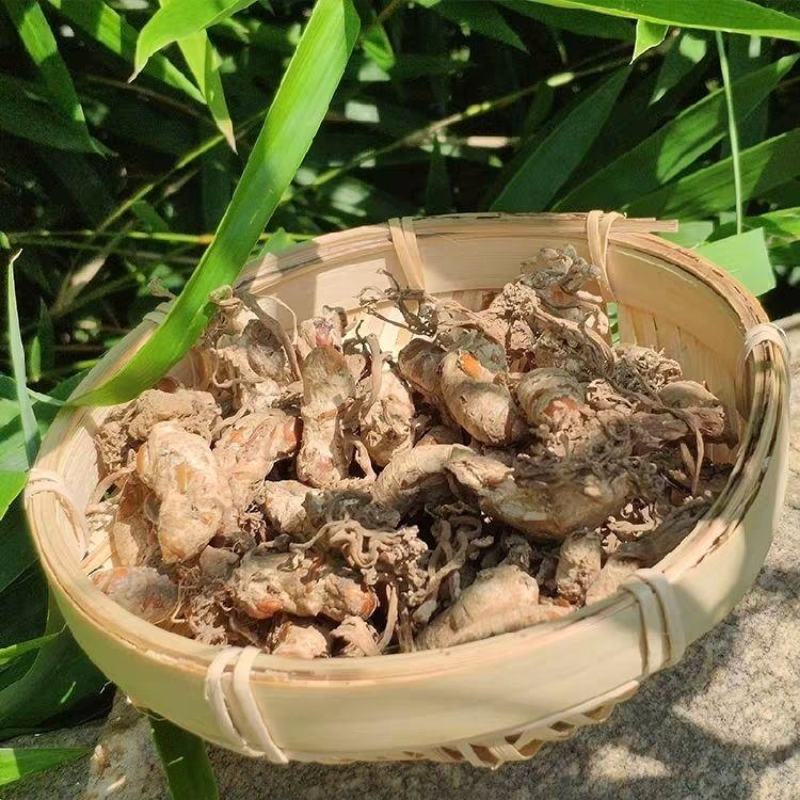 金蝉花知了开花野生蝉蜕花泡酒泡茶煲汤正品