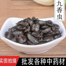 九香虫正品质量九香虫产地直销规格齐全各种昆虫