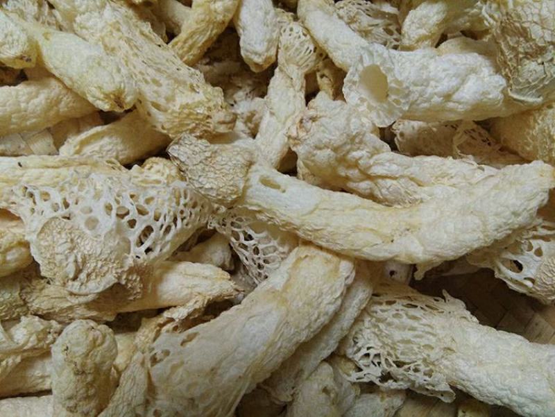 贵州特产竹荪干货无硫薰天然红托食用菌
