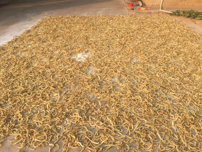 湖南特产白辣椒晒制干白辣椒20斤/件颜色白