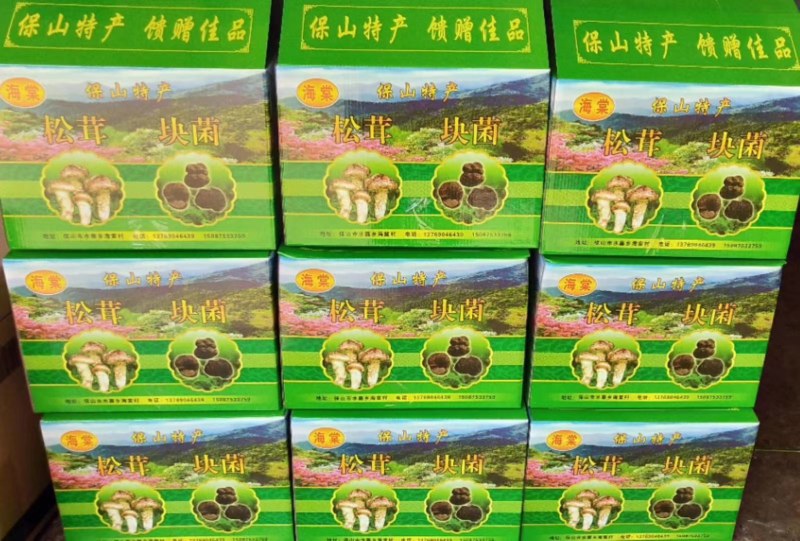 云南保山隆阳水寨新鲜松茸