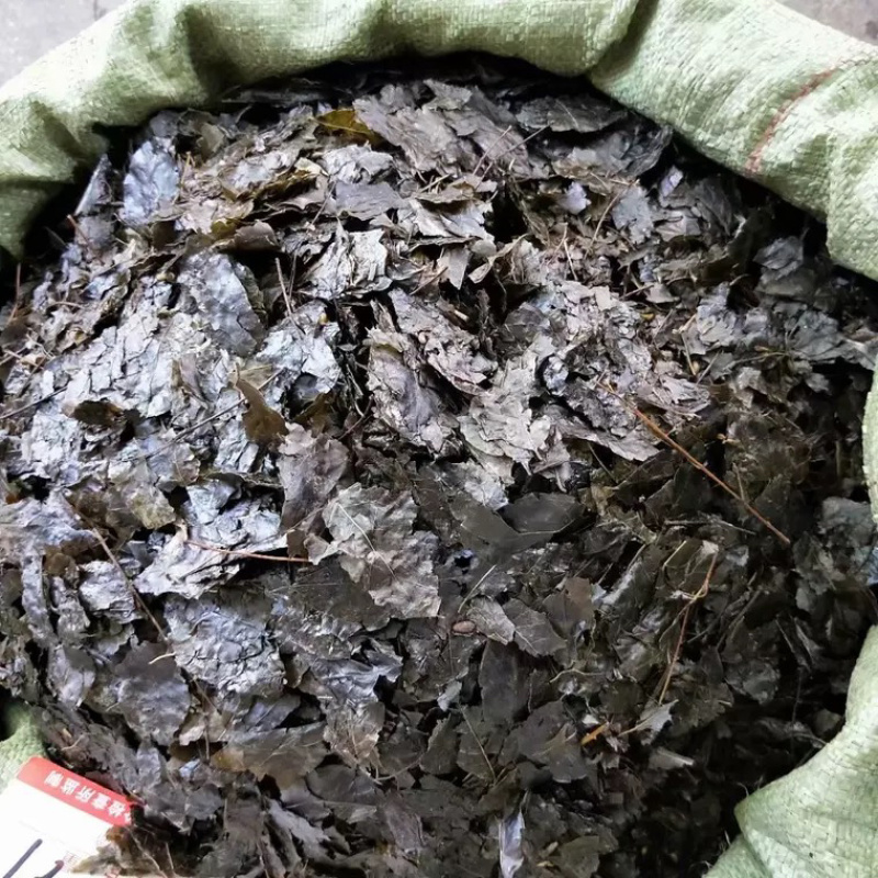 批发苦丁茶批发苦丁茶批发苦丁茶