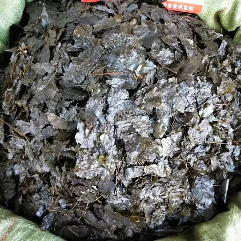 批发苦丁茶批发苦丁茶批发苦丁茶