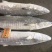 北部湾马鲛鱼7公斤以上
