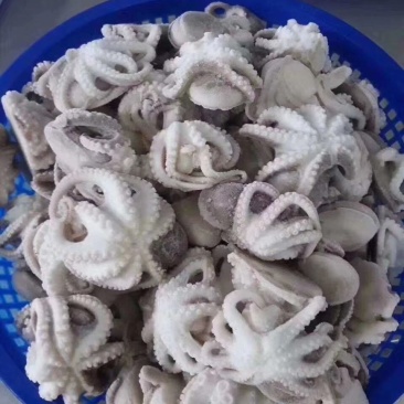 好吃价格便宜的国产八爪鱼