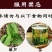 【包邮】长白山红参500g/件东北特产无须红人参