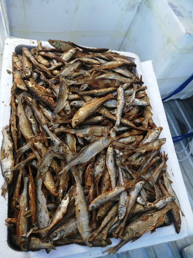 鱼干餐条小白条河鱼干烟熏