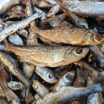 鱼干餐条小白条河鱼干烟熏