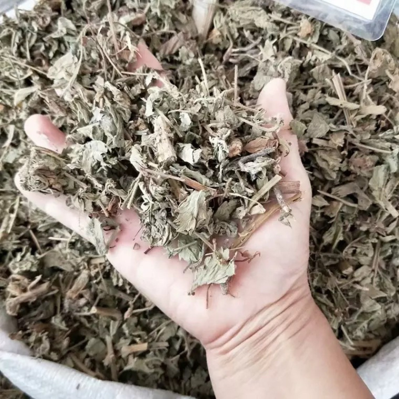 中药材仙鹤草仙合草龙牙草量大优惠大量批发