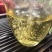 普洱茶西双版纳2022易武正山生态荒山小树春茶