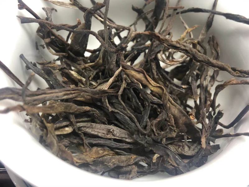 普洱茶西双版纳2022易武正山生态荒山小树春茶
