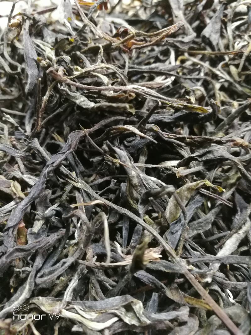 普洱茶西双版纳2022易武正山生态荒山小树春茶