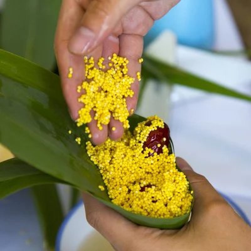 蔚县（特黏）大黄米种植户发货（包邮）有机肥种植优质农产品