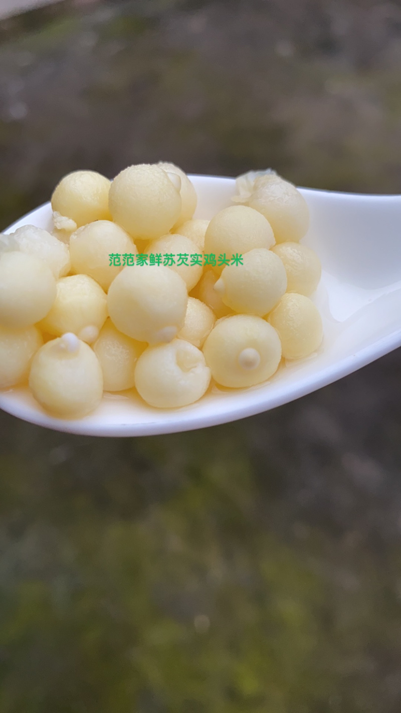 单亲妈妈独立卖鸡头米