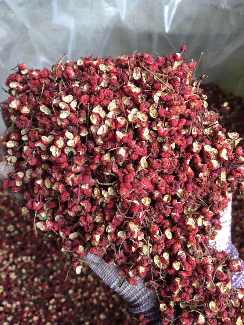 正宗陕西韩城大红袍红花椒。颜色好，颗粒好，色选机筛选